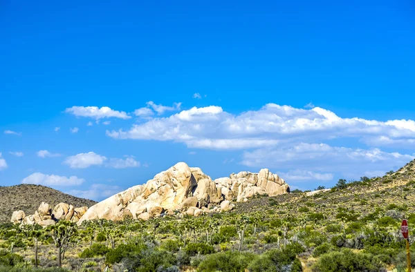 Χρυσή βράχια στο δέντρο Joshua εθνική πάρκο — Φωτογραφία Αρχείου