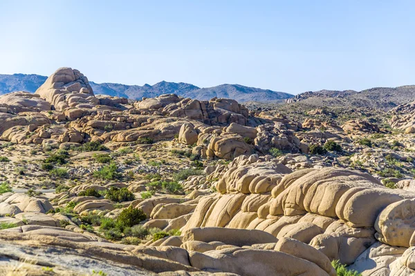 Rochers pittoresques dans le parc national Joshua Tree — Photo