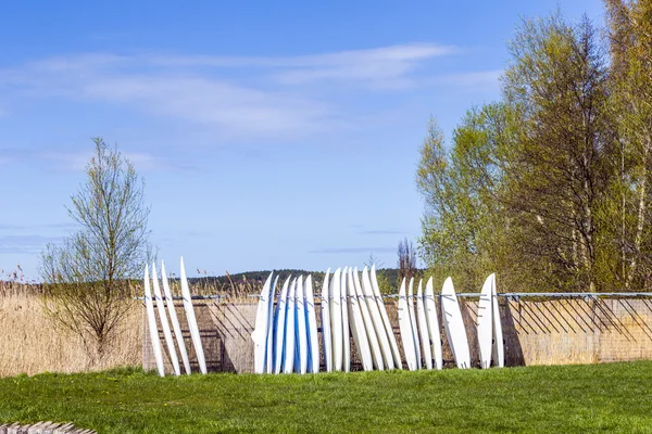 Tabla de surf se grapan en la playa del remanso en Usedom —  Fotos de Stock