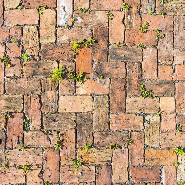 Roter Ziegelboden Hintergrund — Stockfoto