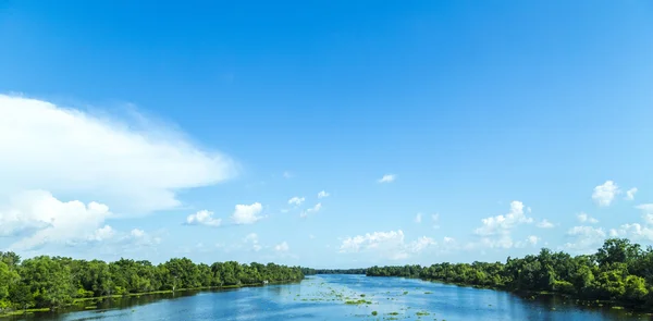 Visa till floden Mississippi med dess breda floden säng och untouc — Stockfoto