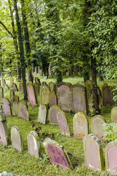 ヴィースロッホの町のユダヤ人の墓地 — ストック写真