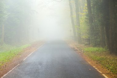  sis sokakta ağaçları sonbaharda ile