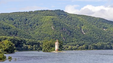 bingen, Almanya da maeuseturm Ren Vadisi