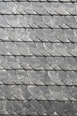 kayrak shindles arka plan