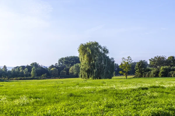 Samolot w bramie w terminalu 2 w Hamburgu — Zdjęcie stockowe