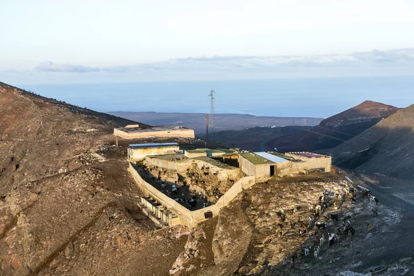 Rebaño de cabras en las montañas — Foto de Stock