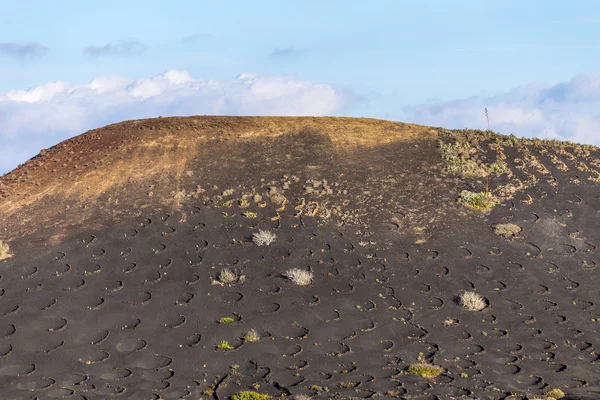 La Geria rendezettség Lanzarote — Stock Fotó