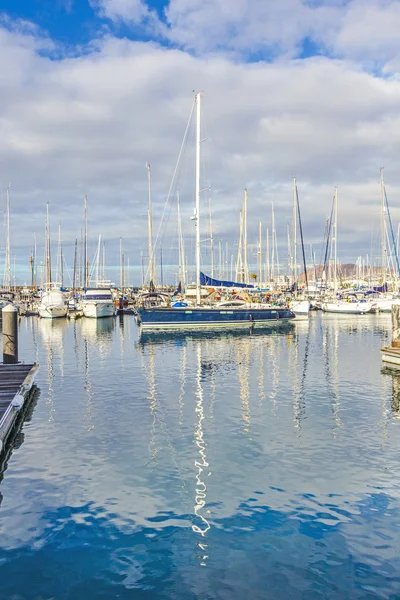 Aveia encontra-se no porto Marina Rubicon — Fotografia de Stock