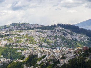 Quito Hill'de evlerde