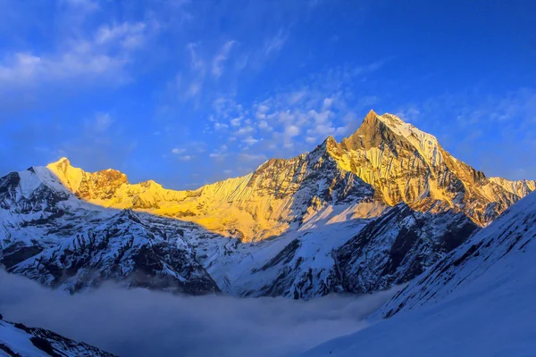 Cielo estrellado sobre Machhepuchare y el campamento base de Annapurna - Nepal, H —  Fotos de Stock