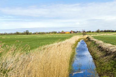 Usedom Baltık denizde Achterwasser 