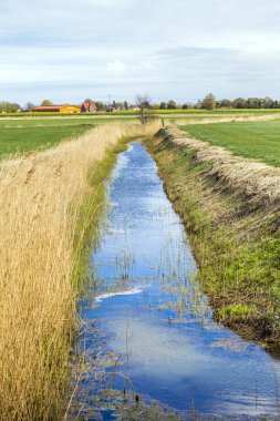 Usedom Baltık denizde Achterwasser 