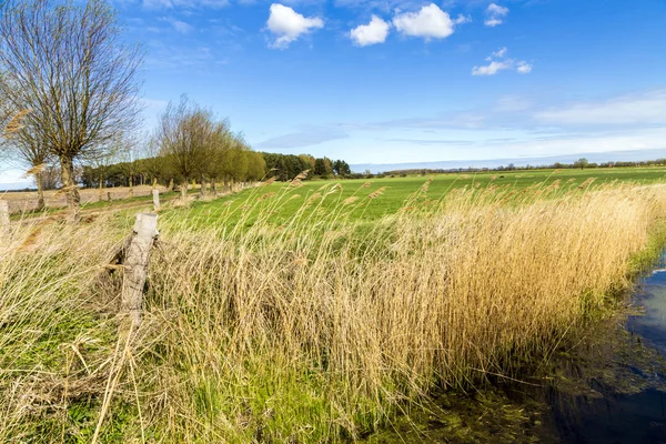 Achterwasser i Usedom vid Östersjön — Stockfoto