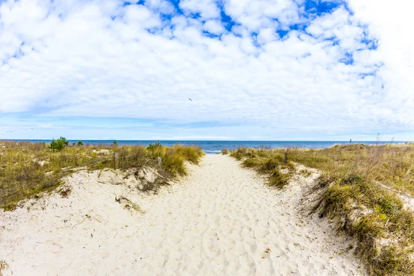 Bella spiaggia nel Mar Baltico — Foto Stock