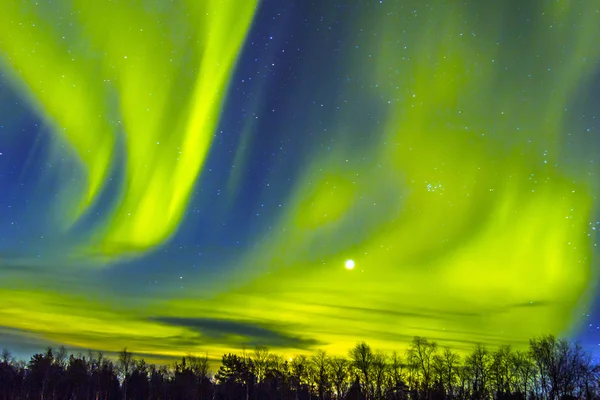 Noorderlicht (aurora borealis) over snowscape. — Stockfoto