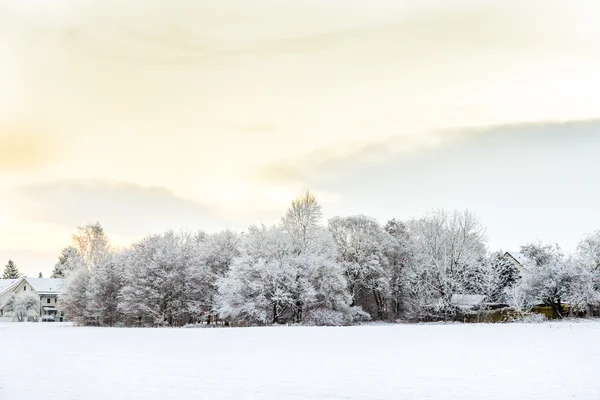 Snön täckte fält med bosättning vid horisonten i München — Stockfoto