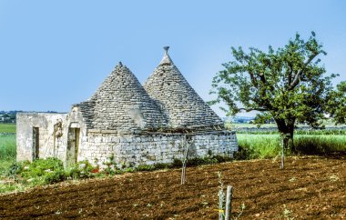 alberobello içinde eski trullis