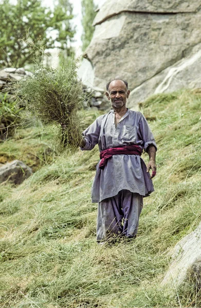 Agriculteur montre fièrement du foin frais près de Karimabad — Photo