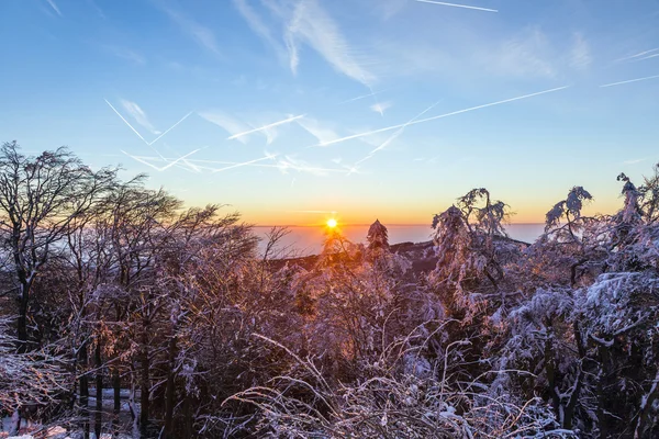 Amanecer bajo el invierno tranquilo paisaje de montaña con hermosa — Foto de Stock