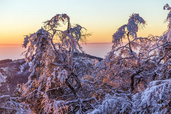 Sunrise under vintern lugna berglandskap med vackra — Stockfoto