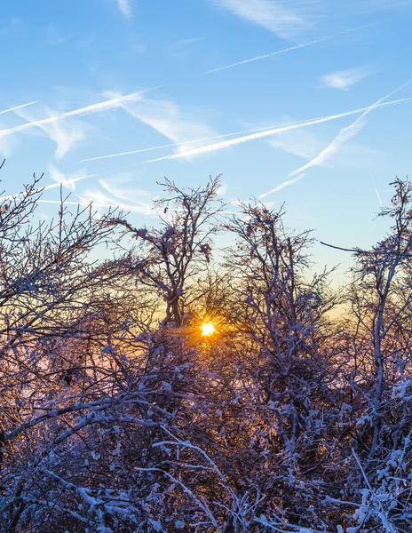 Sunrise under the winter calm mountain landscape with beautiful — Stock Photo, Image