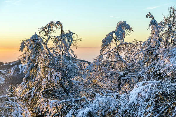 Ανατολή του ηλίου, κάτω από το χειμώνα ηρεμήσει ορεινό τοπίο με όμορφα — Φωτογραφία Αρχείου
