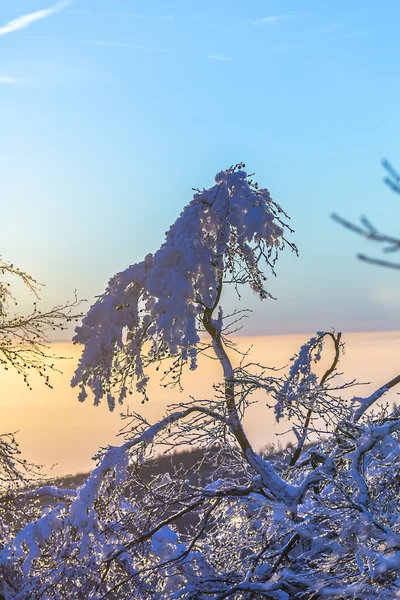 Sunrise under vintern lugna berglandskap med vackra — Stockfoto