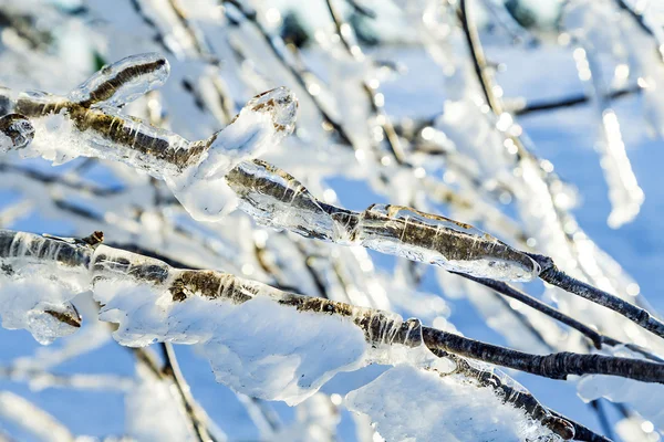 Detalle de la madera en el hielo en el paisaje tranquilo de montaña —  Fotos de Stock