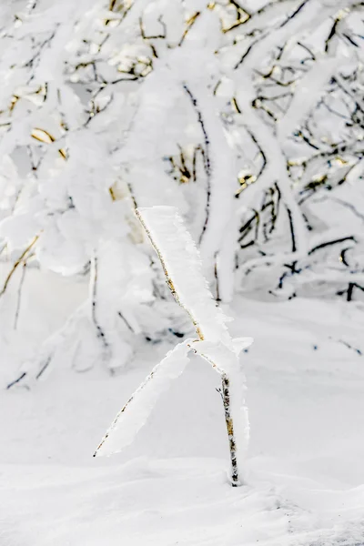 Detail van sneeuw en ijs in bevroren fabriek op de winter berg l — Stockfoto