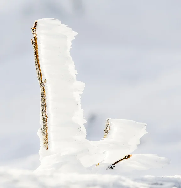 详细的雪和冰在冬天山 l 冷冻厂 — 图库照片