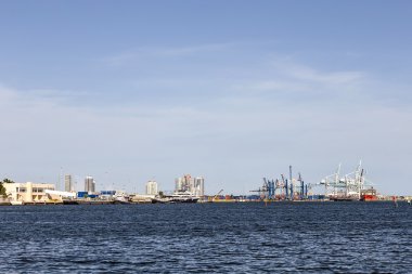 Miami Limanı konteyner ve Vinçler 