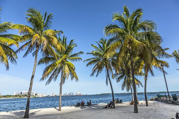 Les gens se détendent à la plage du centre-ville sous les palmiers — Photo