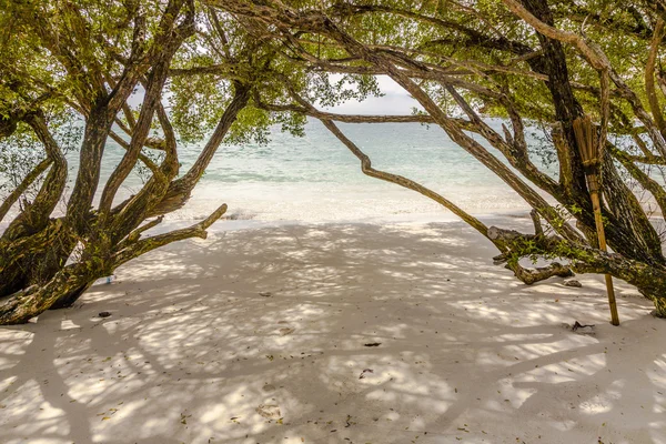 Praia tropical na Tailândia com árvores — Fotografia de Stock