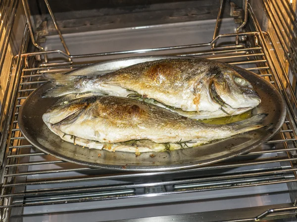 Cooking fish in oven at home kitchen — Stock Photo, Image