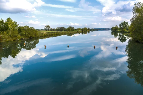 Reflektion av träd i floden tauber — Stockfoto