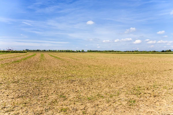 Acres after harvest under blue sky — Stock Photo, Image