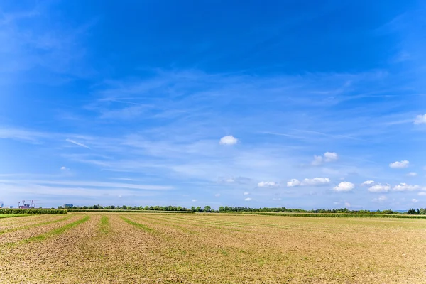 Ettari dopo il raccolto sotto il cielo blu — Foto Stock