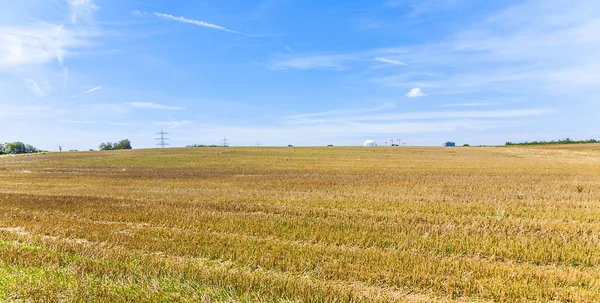 Acres after harvest under blue sky — Stock Photo, Image