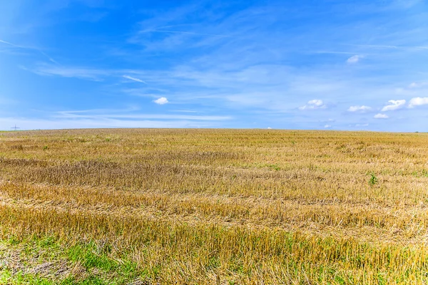 Ettari dopo il raccolto sotto il cielo blu — Foto Stock