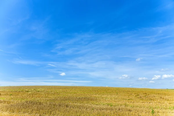 Hectare na de oogst onder de blauwe hemel — Stockfoto