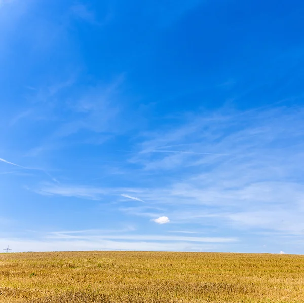 Akrů po sklizni pod modrou oblohou — Stock fotografie