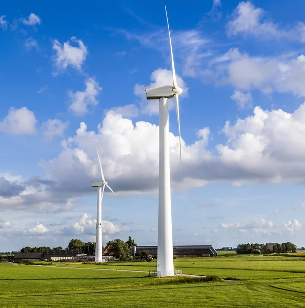 Pradera verde con turbinas eólicas generadoras de electricidad —  Fotos de Stock