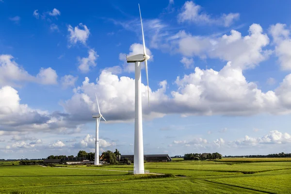 Green meadow with Wind turbines generating electricity — Stock Photo, Image