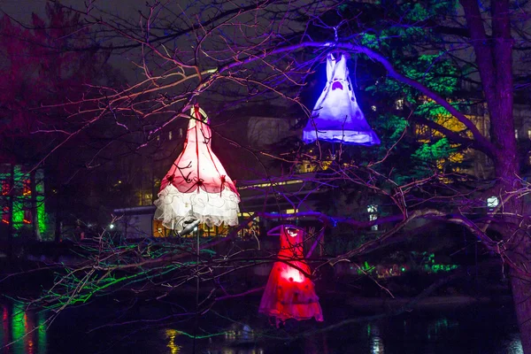 Veranstaltung winterlichter im Palmengarten — Stockfoto