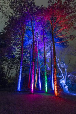 olay Palmgarden Winterlichter 