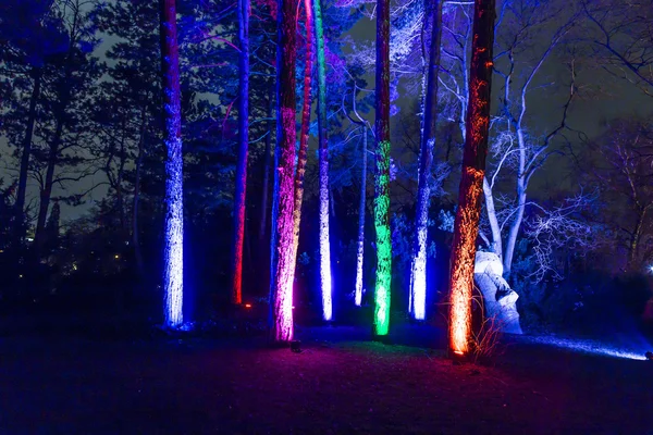 Event Winterlichter  in the Palmgarden — Stock Photo, Image