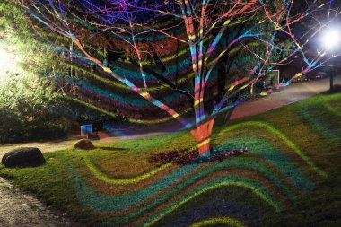 olay Palmgarden Winterlichter 