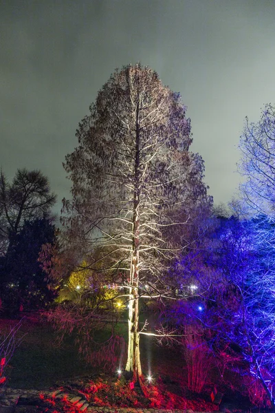 Veranstaltung winterlichter im Palmengarten — Stockfoto