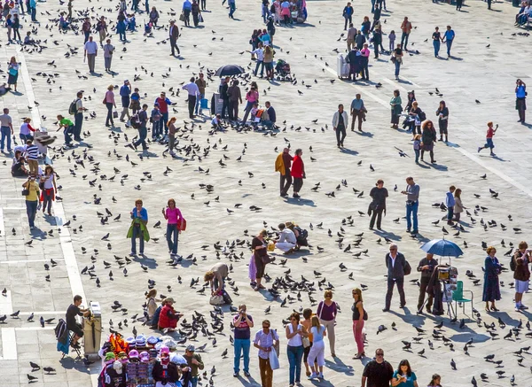 Persone che nutrono i piccioni a Venezia — Foto Stock
